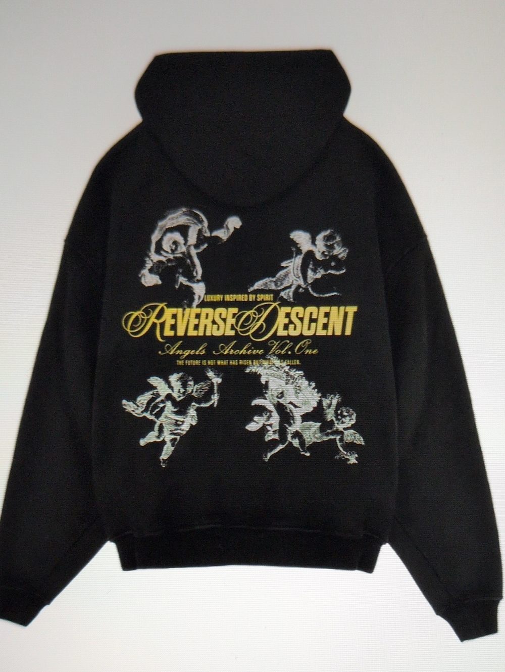 Reverse Descent NWT Heavy 100% Cotton Hoodie